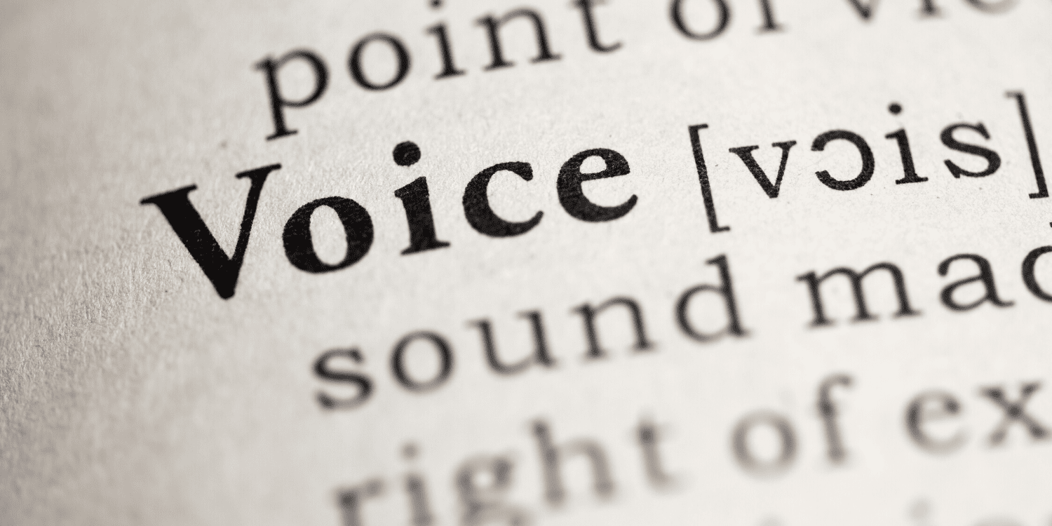 voice voice