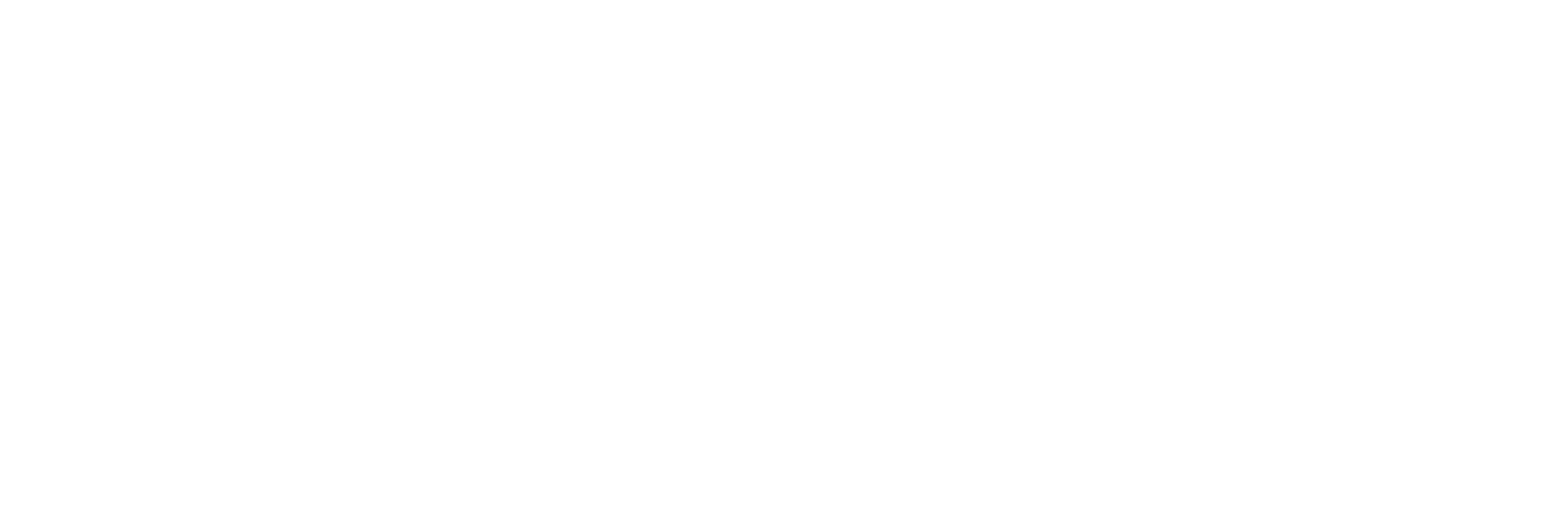 christin and chris script logo 2